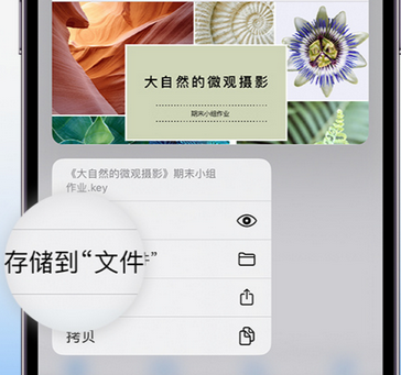 石屏apple维修中心分享iPhone文件应用中存储和找到下载文件