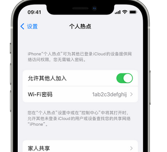 石屏apple服务站点分享iPhone上个人热点丢失了怎么办 