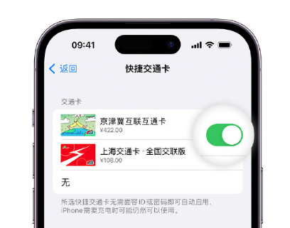 石屏apple维修点分享iPhone上更换Apple Pay快捷交通卡手绘卡面 