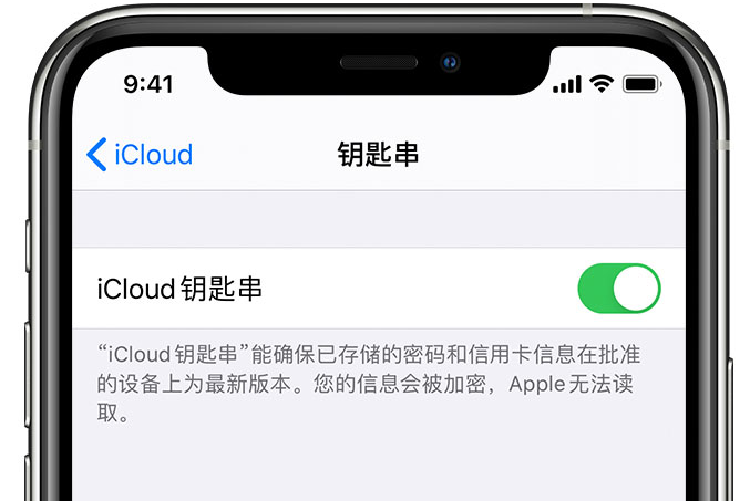 石屏苹果手机维修分享在 iPhone 上开启 iCloud 钥匙串之后会储存哪些信息 