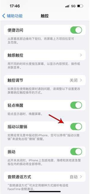 石屏苹果手机维修分享iPhone手机如何设置摇一摇删除文字 